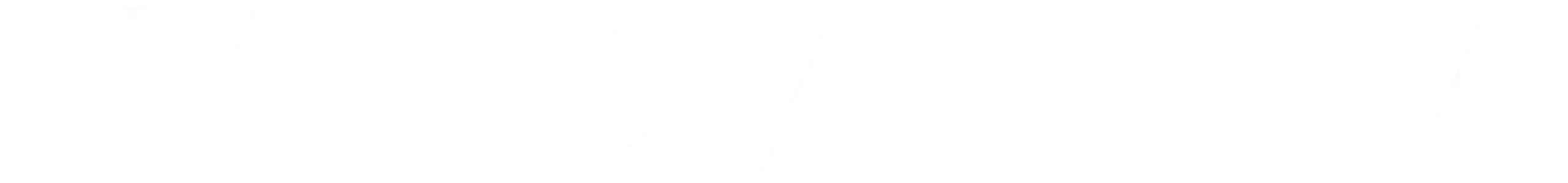 vedantaboat boat charter logo